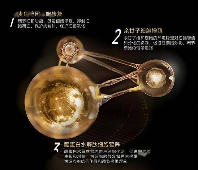 ic外汇交易平台怎么样定州市开展支出品以旧换新费用专项监督检查
